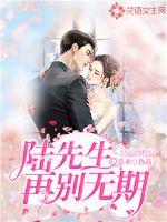陆先生，再别