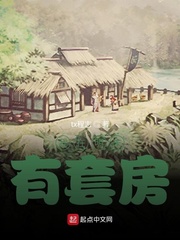 我在明末有套