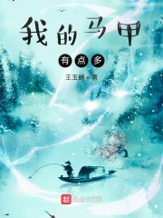 大佬马甲有点