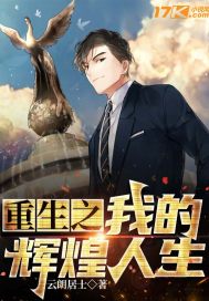 重生之我的辉