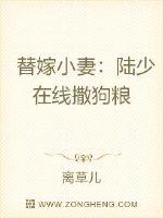 替嫁小妻：陆