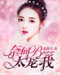 奈何BOSS