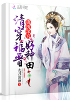 清穿福晋好种