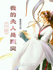 三国：我的夫