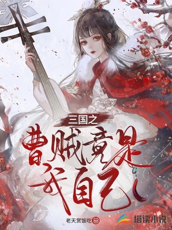 三国之曹贼竟