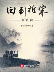 回到北宋当明