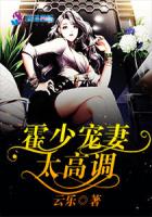 霍少宠妻太高