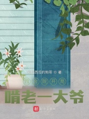 四合院开局啃