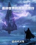 巫师世界的我