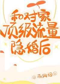 和对家顶级流