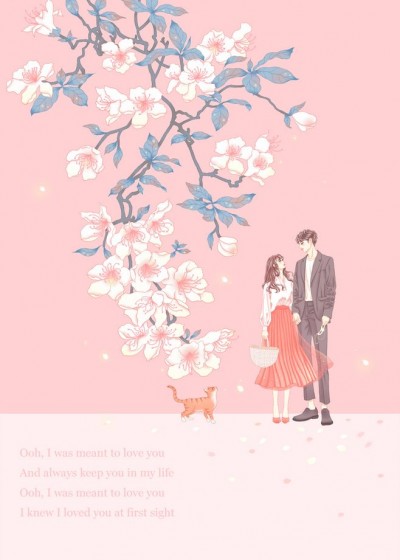 总裁的闪婚小