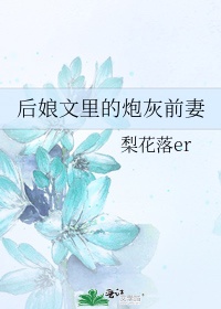 后娘文里的炮