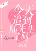 今天追到陆先