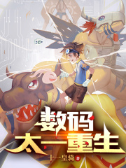 数码：太一重