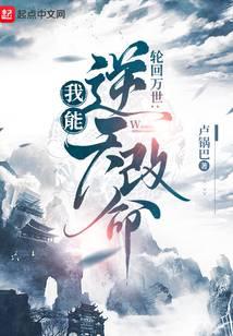 轮回模拟：我