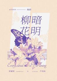 柳暗花明（短