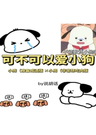 可不可以爱小