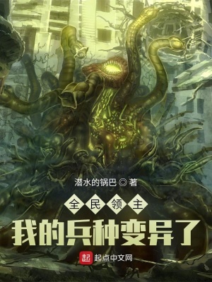 全民领主:我