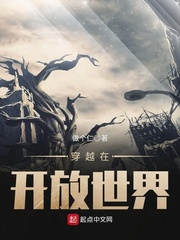 穿越在开放世