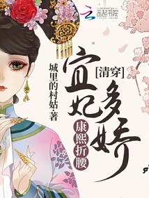 清穿：宜妃多