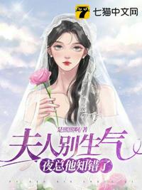 夫人别生气夜