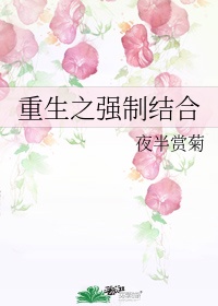 重生之强制结