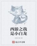 西游之我是小