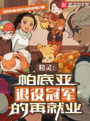 精灵：帕底亚