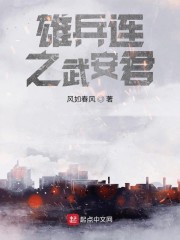 雄兵连之武安