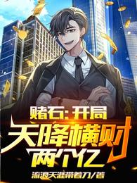 赌石：开局天