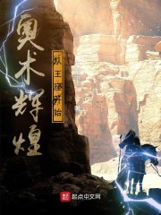 奥术辉煌从王