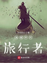 海贼中的旅行