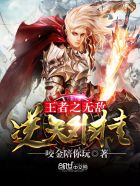 王者荣耀之无