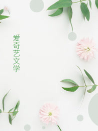 系统带我去装