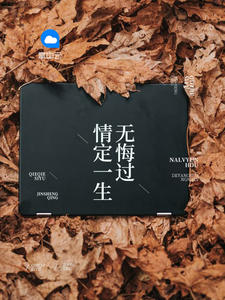 老婆大人别想