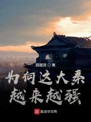 为何这大秦越
