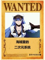 海贼里的二次