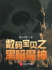 数码宝贝之黑
