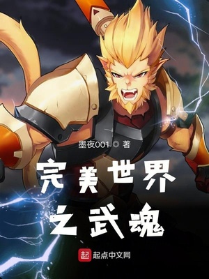 完美世界之重