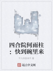 四合院何雨柱