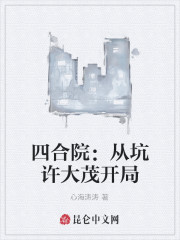 四合院：从坑