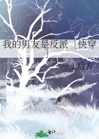 我的男友是反