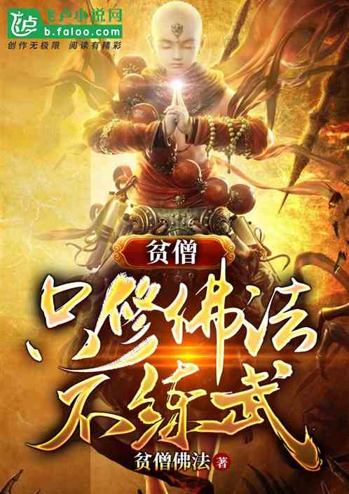 贫僧只修佛法