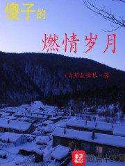 傻子的燃情岁