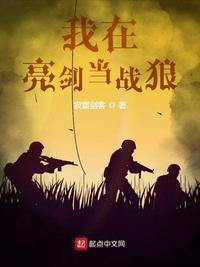 我在亮剑当战