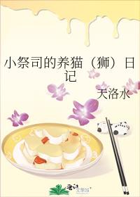 小祭司的养猫
