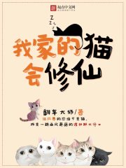 我家的猫会修