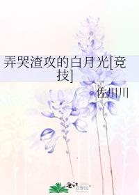 弄哭渣攻的白